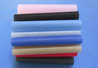 叉河镇涤纶（PET）无纺布是什么